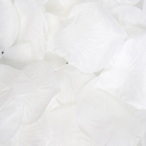 Blush Pink Flower Petals, 300ct