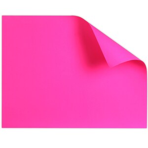 DollarTree.com | Neon Pink Poster Boards, 22x28