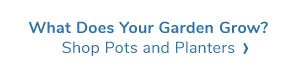 Shop $1 Pots & Planters Online & In Stores Now