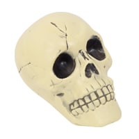 Decorative plastic skull